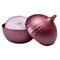 Hutzler Onion Saver Keeper Storage Container - Keeps Fresh Longer - 2 Pack